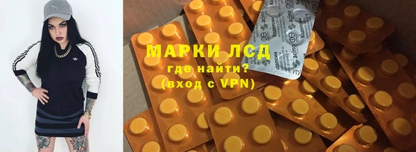 дмт Алзамай